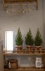 Tubo - lampa antydepresyjna z drewnianą rączką
