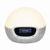 Bodyclock-Shine-300-4-.jpg