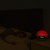 Bodyclock-Shine-300-8-.jpg
